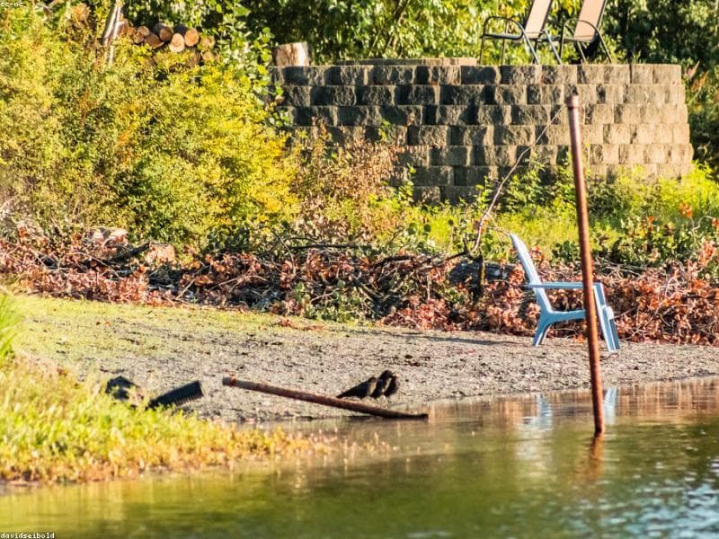 ഓർക്കാട്ടേരി ഗ്രാമപഞ്ചായത്തിൽ ജലവിതരണം മെച്ചപ്പെടുത്തി